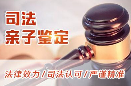 黄冈司法DNA鉴定如何办理,<a href=