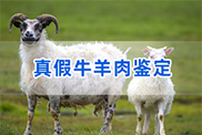 黄冈羊类动物鉴定